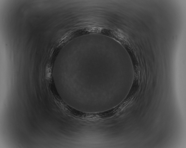 X0000087681154200705041023