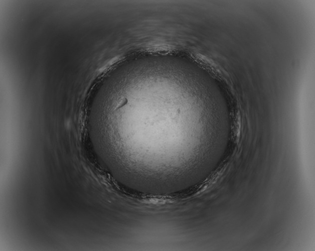 X0000087681157200705041023