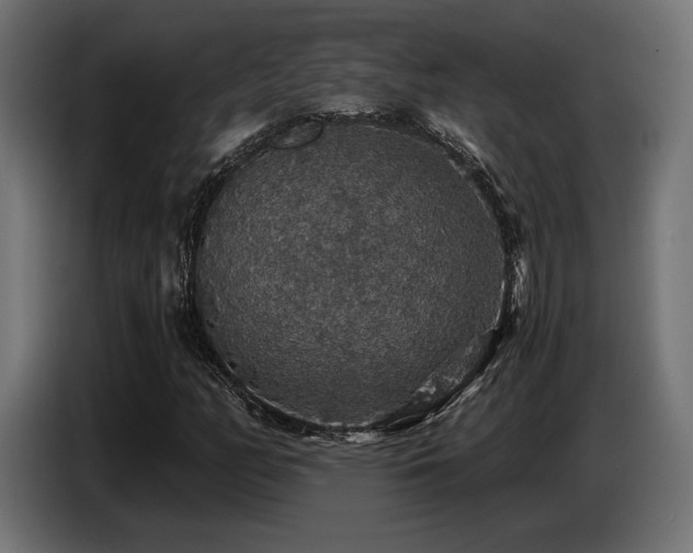 X0000087681158200705041023