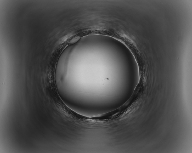 X0000087681159200705041023