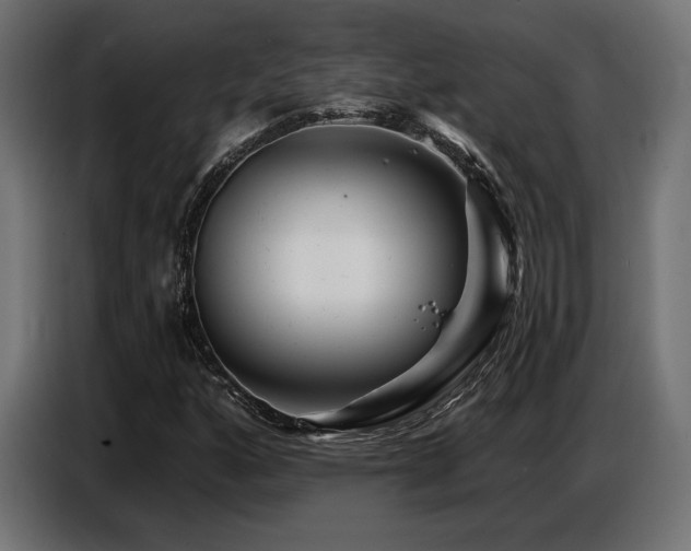 X0000087681160200705041023