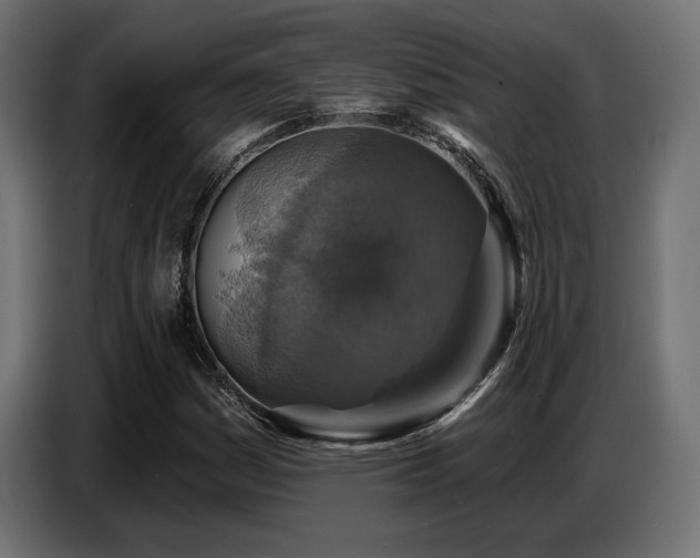 X0000087681161200705041023