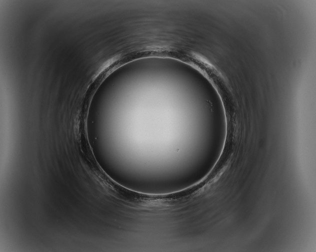 X0000087681162200705041023