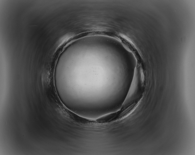 X0000087681163200705041023