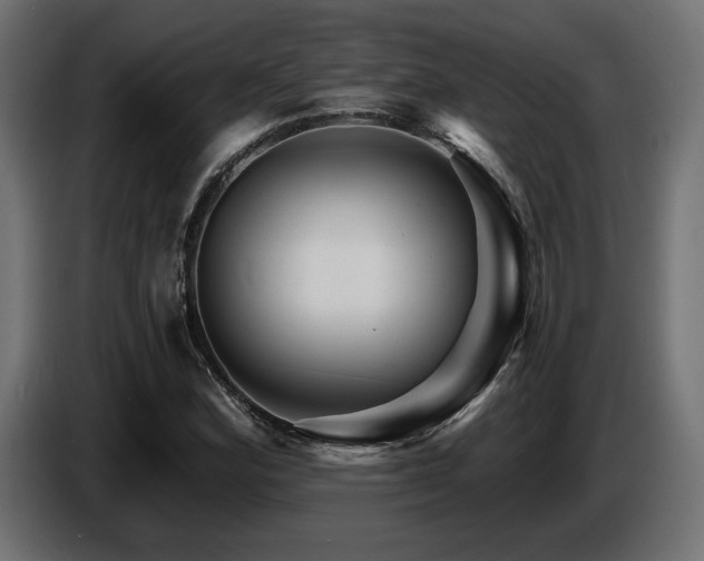 X0000087681164200705041023