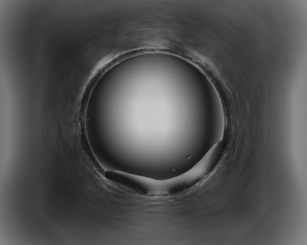 X0000087681168200705041023