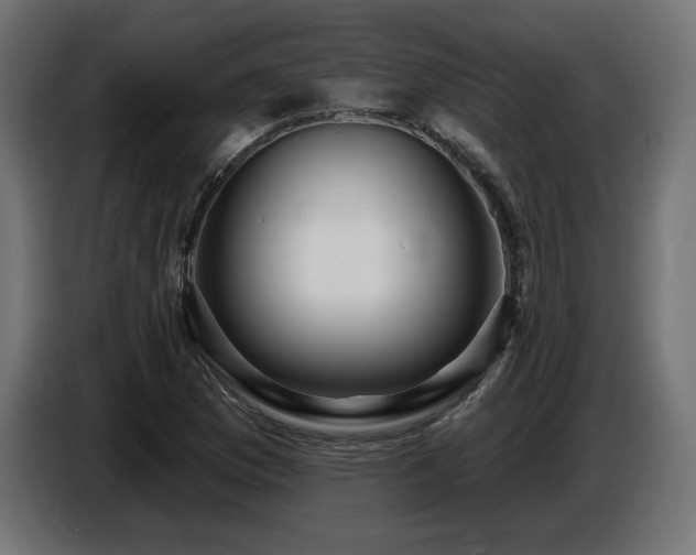 X0000087681169200705041023