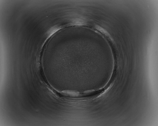 X0000087681170200705041023