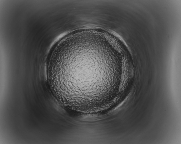 X0000087681171200705041023