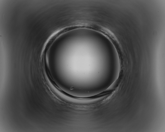 X0000087681172200705041023