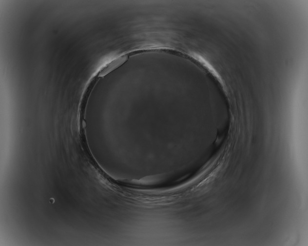 X0000087681173200705041023