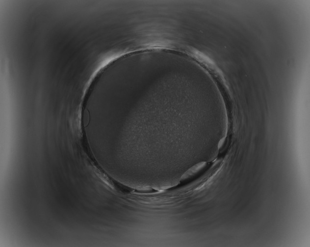 X0000087681174200705041023