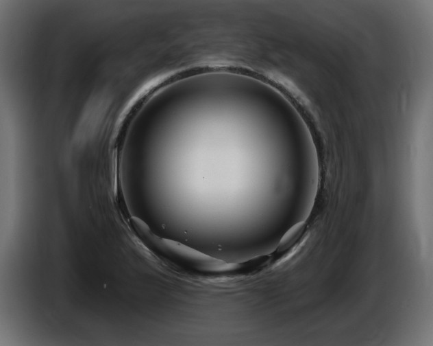 X0000087681175200705041023