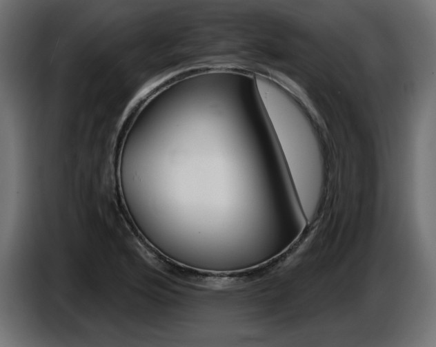 X0000087681176200705041023