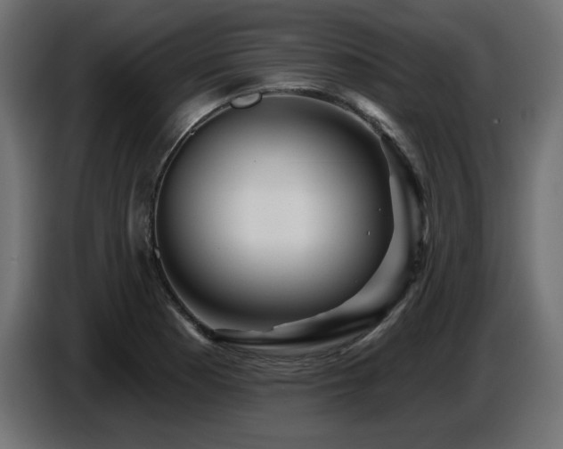 X0000087681177200705041023