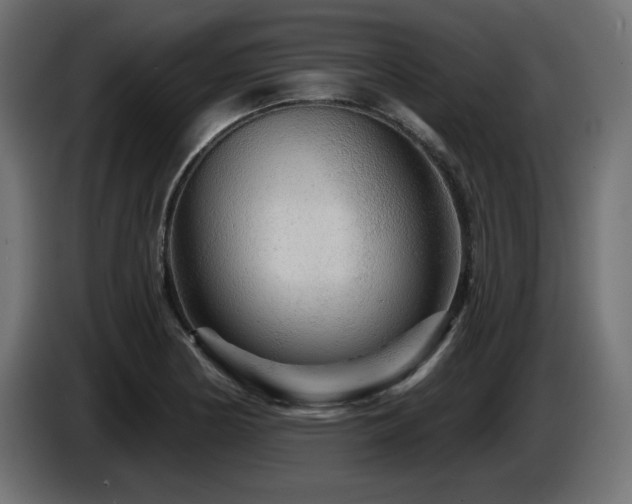 X0000087681178200705041023
