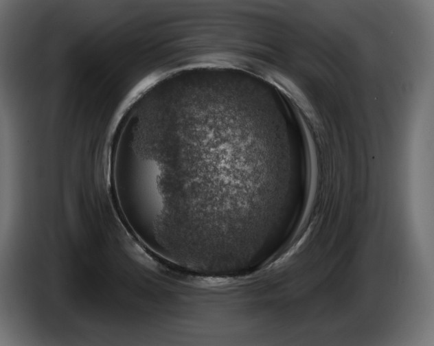 X0000087681180200705041023
