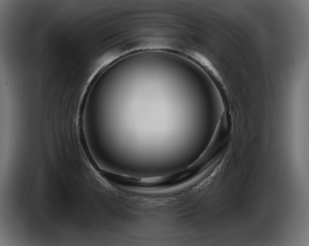 X0000087681181200705041023