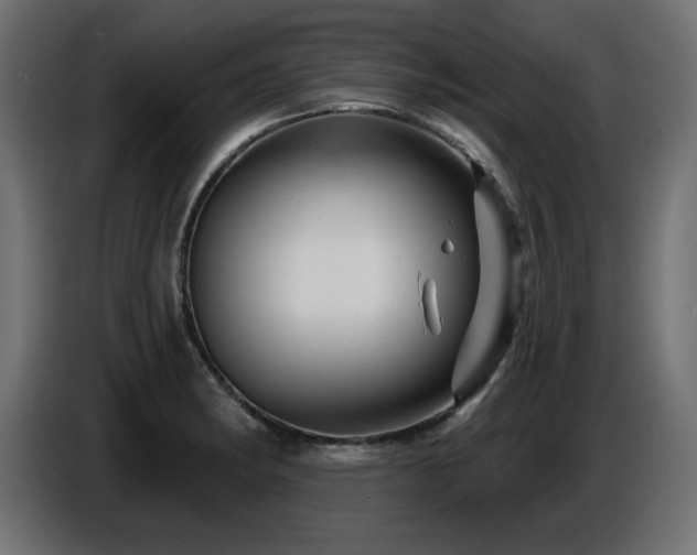 X0000087681182200705041023