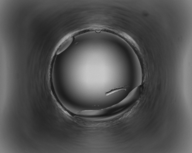 X0000087681183200705041023