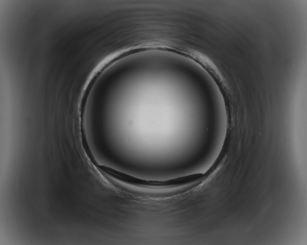 X0000087681184200705041023