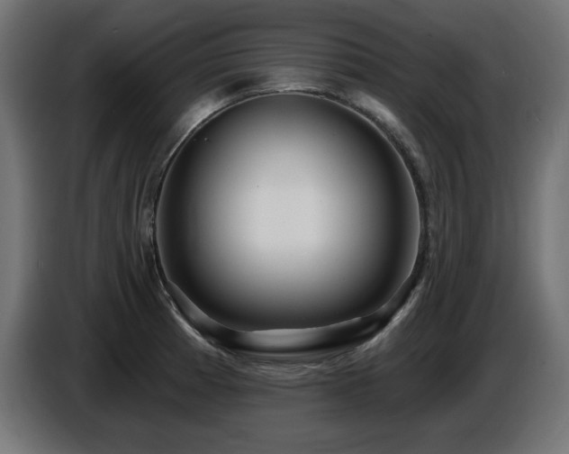X0000087681185200705041023