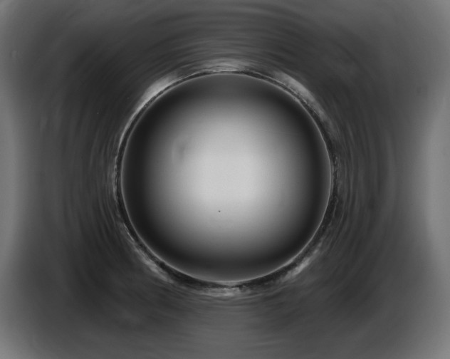 X0000087681186200705041023