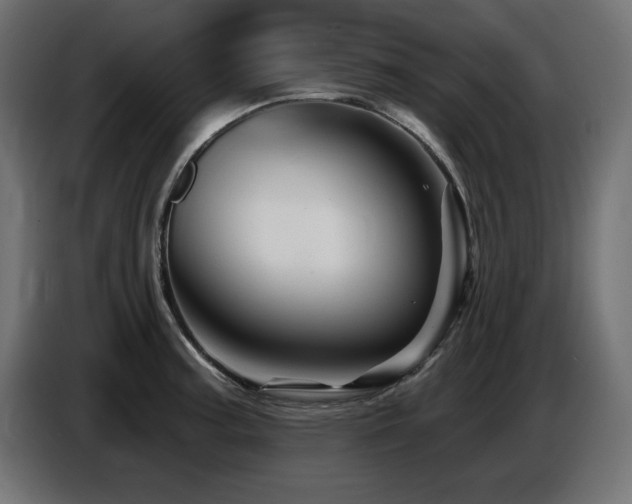 X0000087681187200705041023