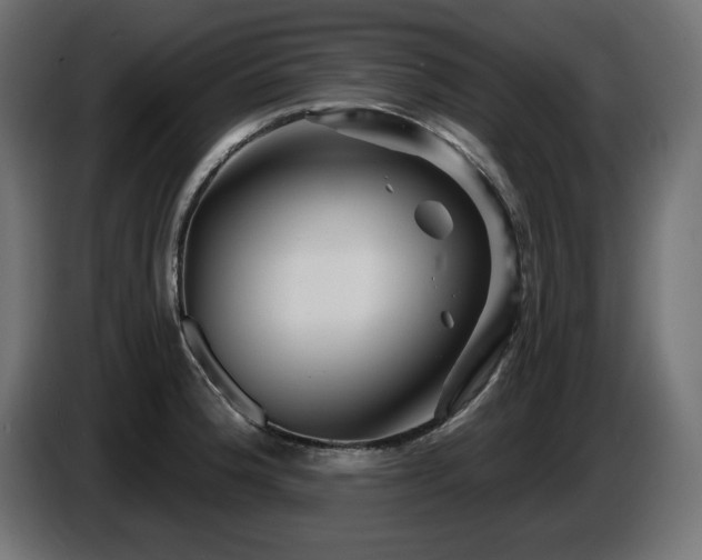 X0000087681188200705041023