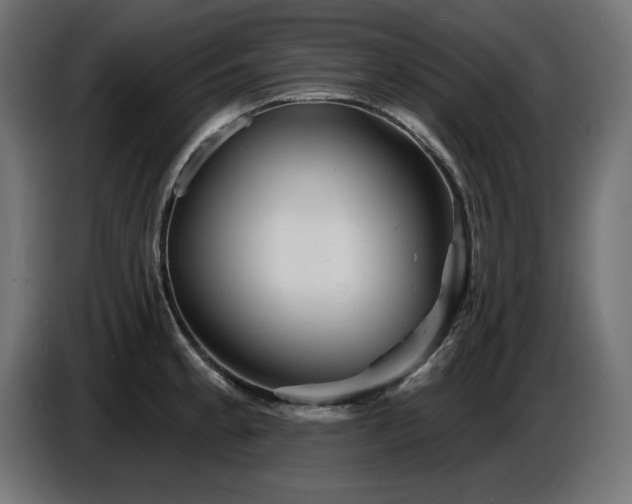 X0000087681189200705041023