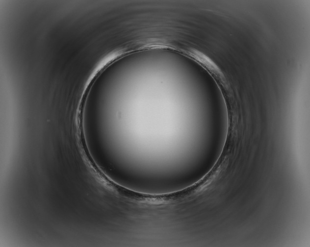 X0000087681190200705041023