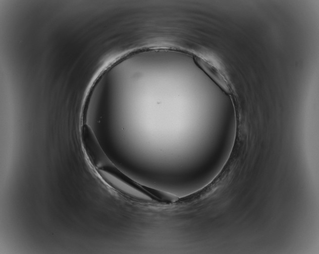 X0000087681191200705041023