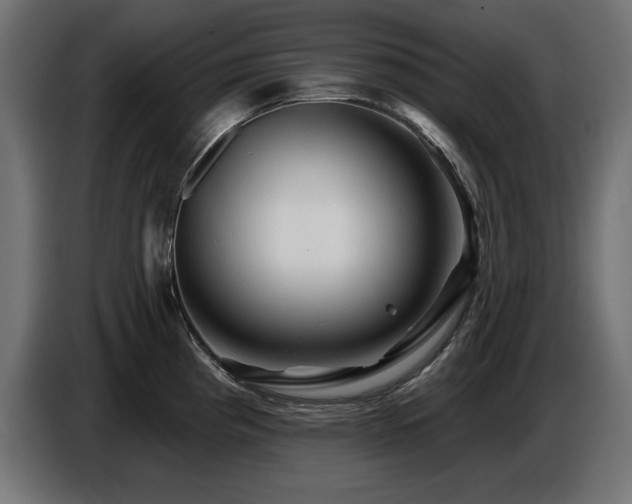 X0000087681193200705041023