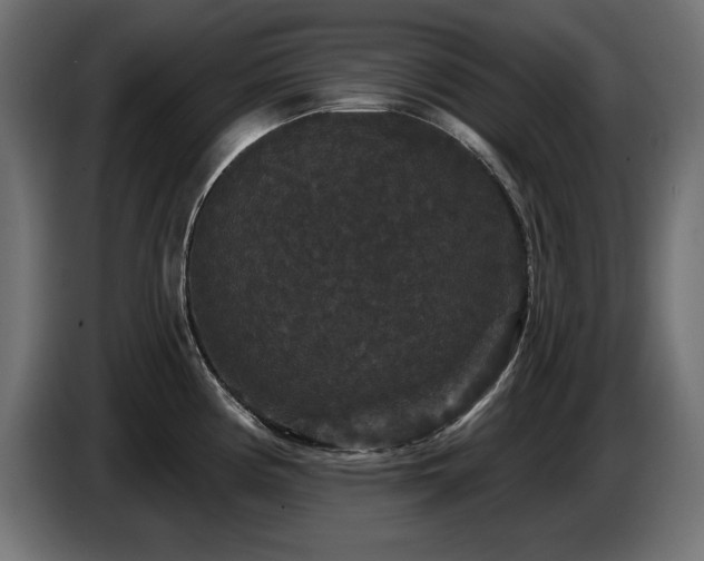 X0000087681194200705041023