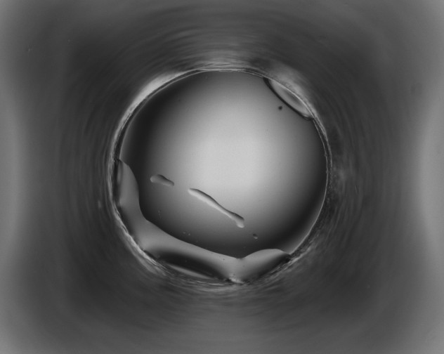 X0000087681195200705041023