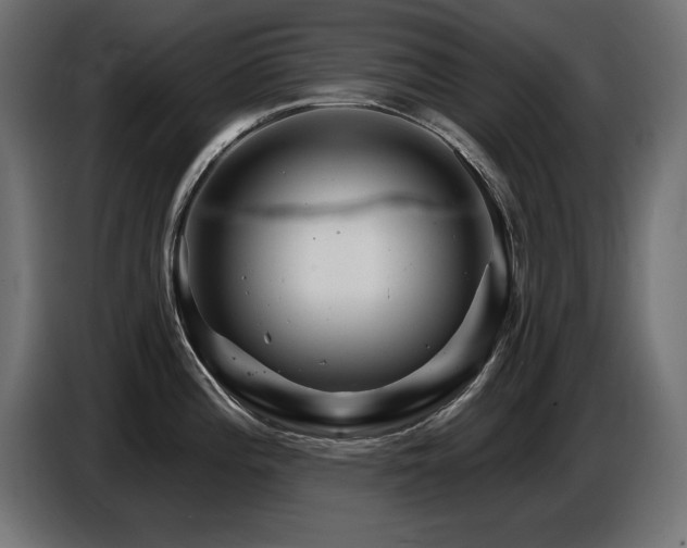 X0000087681196200705041023