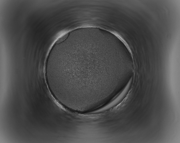 X0000087681197200705041023