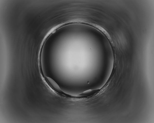 X0000087681199200705041023