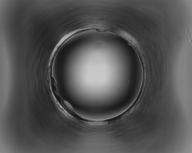 X0000087681200200705041023