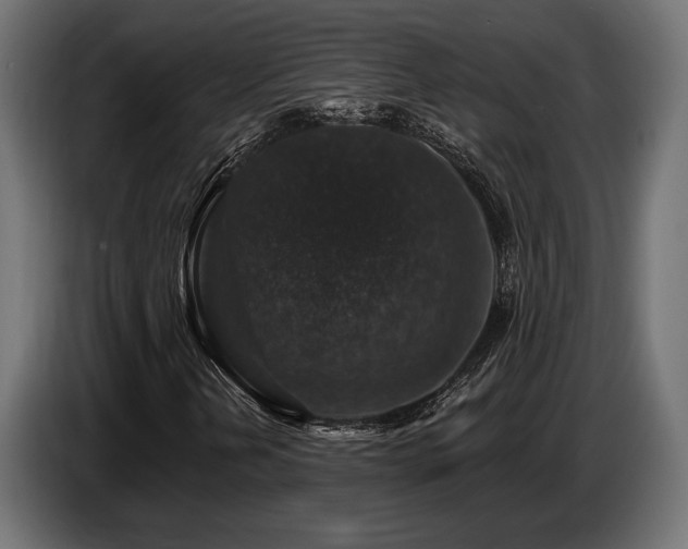 X0000087681202200705041022