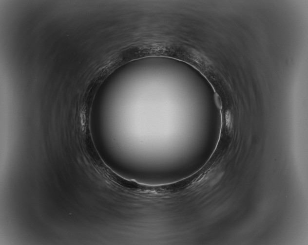 X0000087681203200705041022