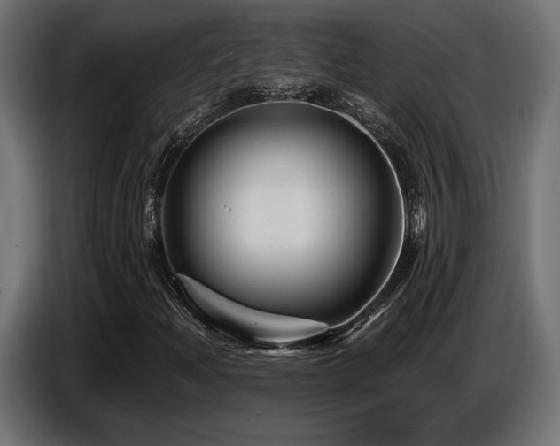 X0000087681204200705041022