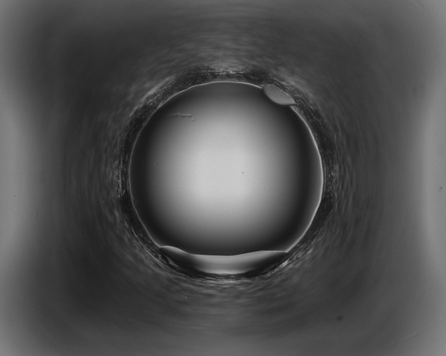 X0000087681205200705041022