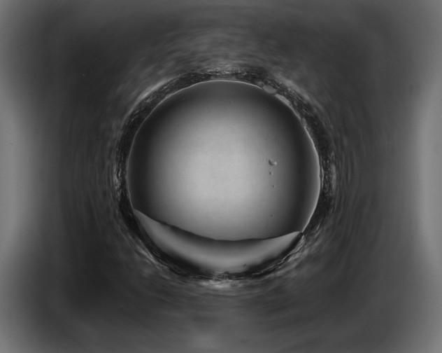 X0000087681206200705041022