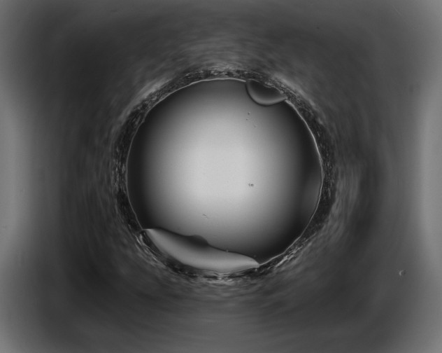 X0000087681207200705041022