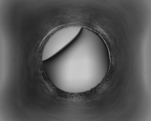 X0000087681208200705041022