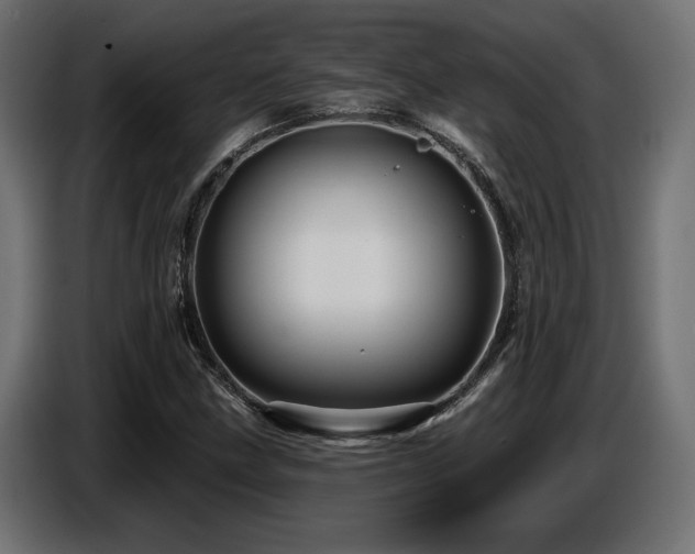 X0000087681211200705041022