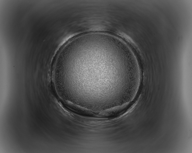 X0000087681212200705041022
