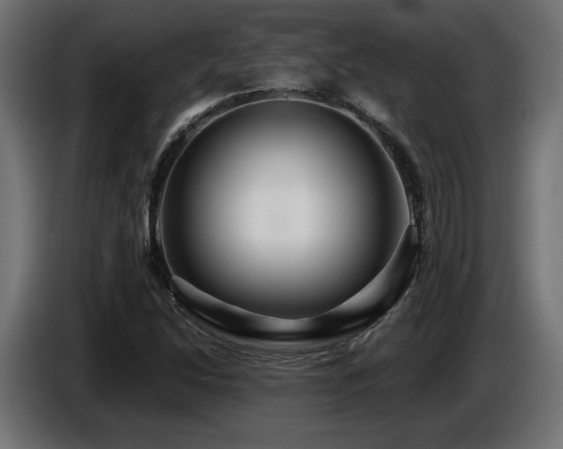 X0000087681214200705041022