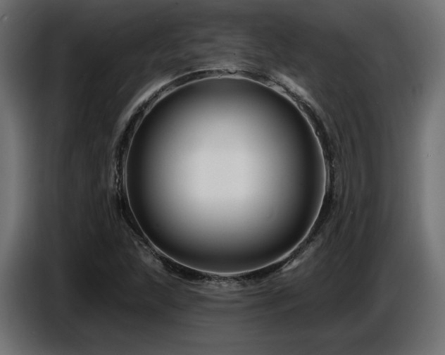 X0000087681215200705041022